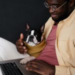 Инструкция: как оплатить Suno AI из России в 2025 году для музыкантов для блогеров